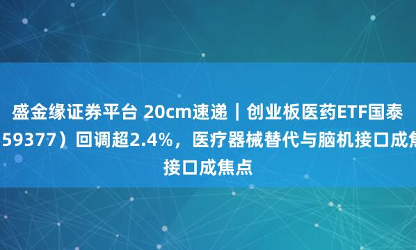 盛金缘证券平台 20cm速递｜创业板医药ETF国泰（159377）回调超2.4%，医疗器械替代与脑机接口成焦点
