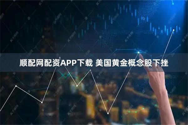顺配网配资APP下载 美国黄金概念股下挫